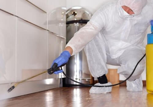 Home Sanitization Services in India
